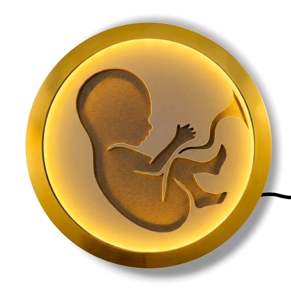 LED Baby In Womb Resin Preservation Frame - 18"