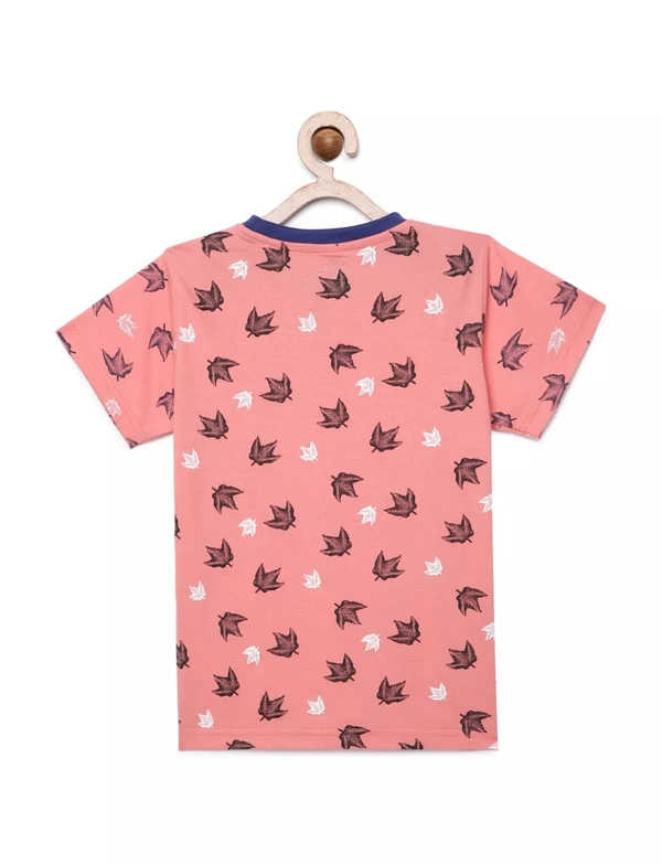 100% Cotton Half Sleeves Graphic Print T-Shirts for Boys - 4-5 Years(24), Multicolor