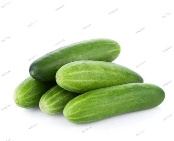Cocumber -Kheera-500gm - 500GM