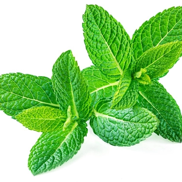 Mint (पुदीना) - 1 Bunch 