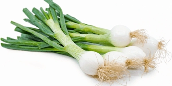 Spinning Onion (हरी प्याज) - 1 Bunche