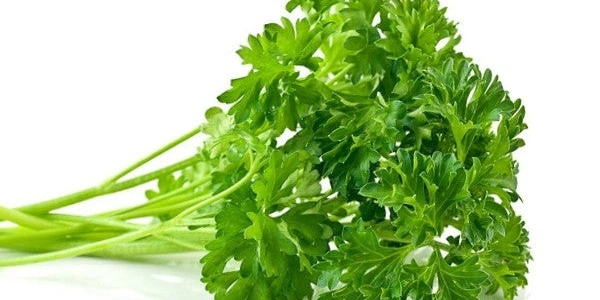 Parsley (अजमोद) - 100g
