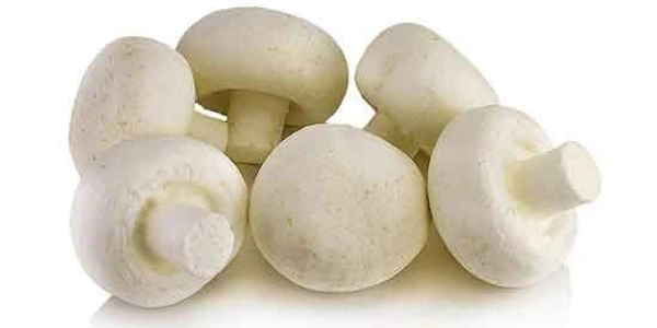 Mashroom (मशरूम) - 1 Packed 