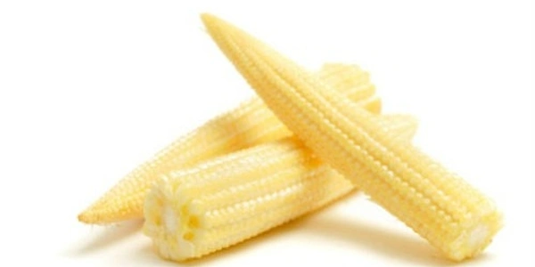 Baby Corn (बेबी कॉर्न)- 200g