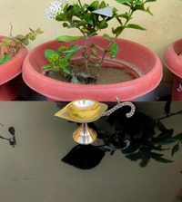 VIKRAM METAL Brass Single Aarti Diya with Detachable Handle - 4.5*2 INCH, GOLDEN