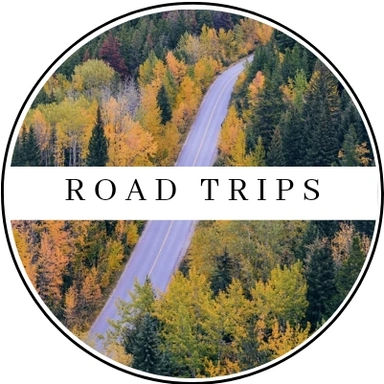 Curated Road Trip
