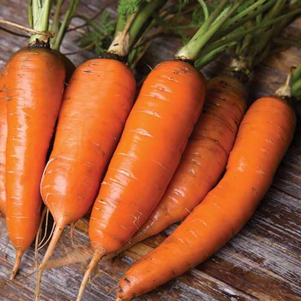 Carrot - 1 Kg