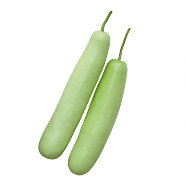 Bottle Gourd/लौकी/Lauki 