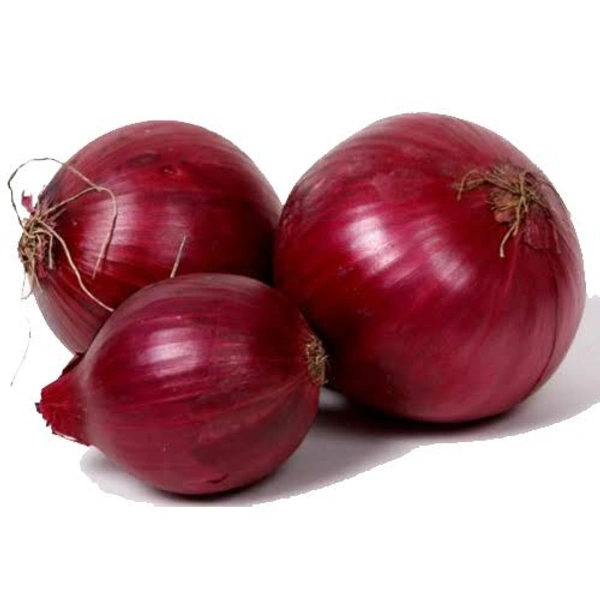 Onion/प्याज/Pyaj 