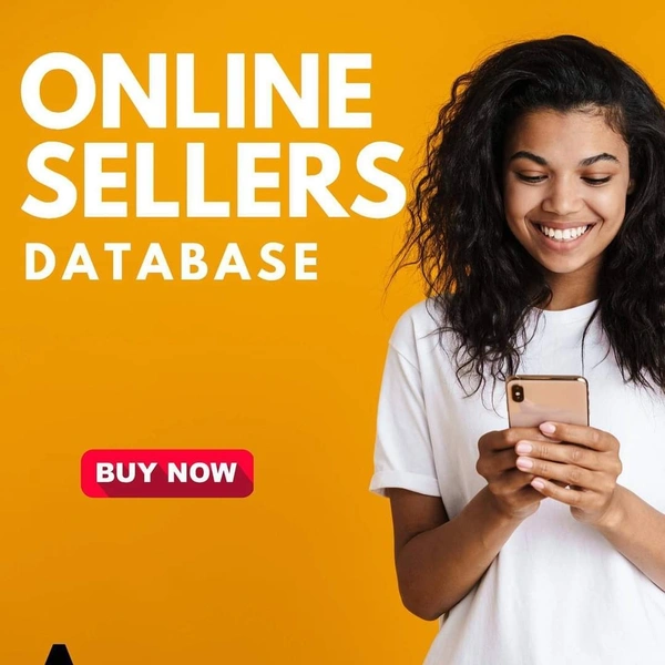Online Sellers Database 