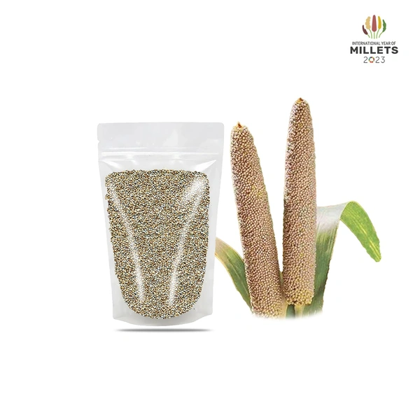 Pearl Millet / கம்பு