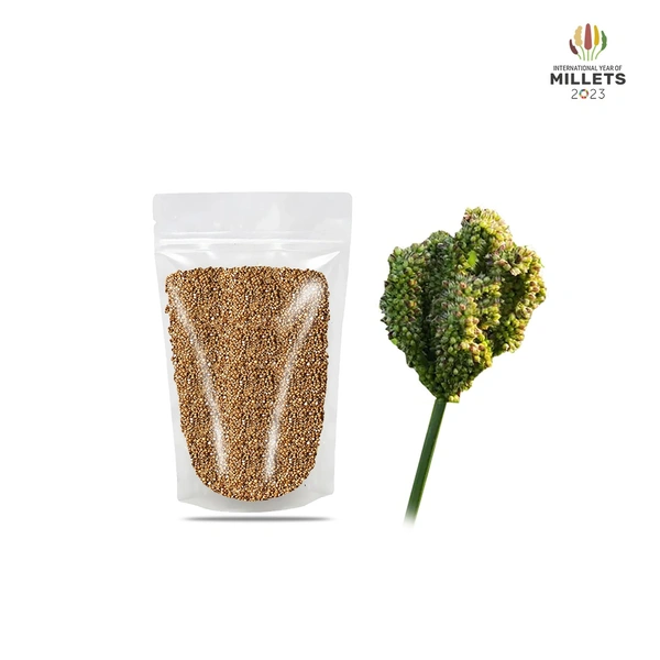 Kodo Millet / வரகு