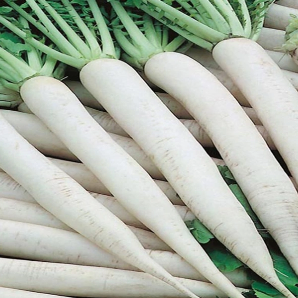 Muli / मूली  - 1Kg