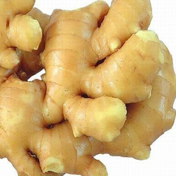 Ginger / अदरक  - 250Gram