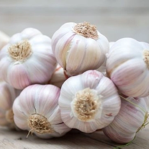 Garlic/ लहसून  - 500Gram