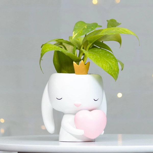 Money Plant in Heart Bunny