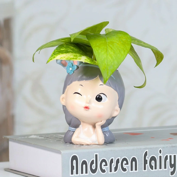 Ellicit money plant in resin vase