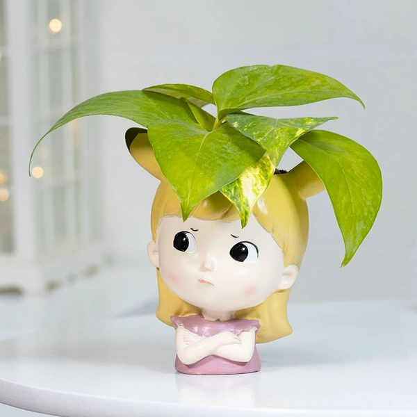 Money Plant For Angry Friend