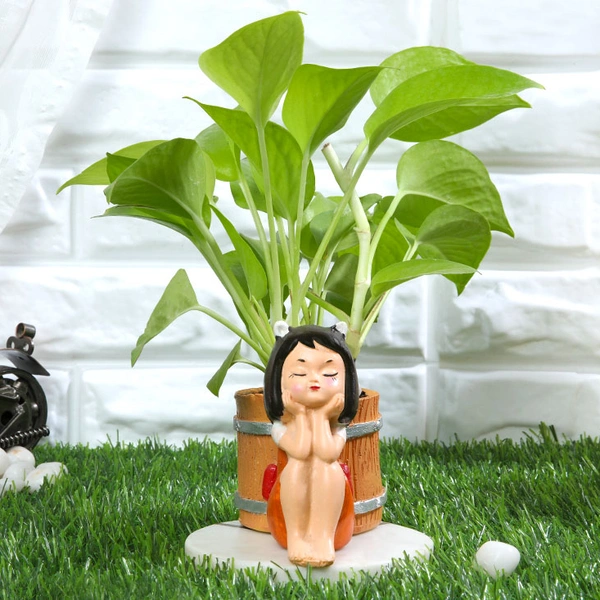 Golden Money Plant In Cute Resting Lady