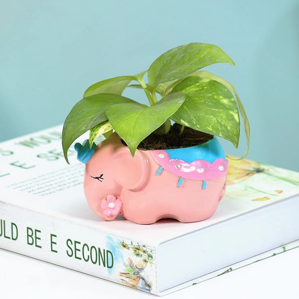 Good Luck Money Plant In Cute Elephant