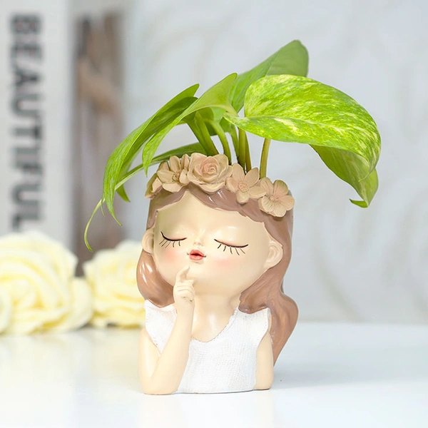 Thinking Fairy Money Plant