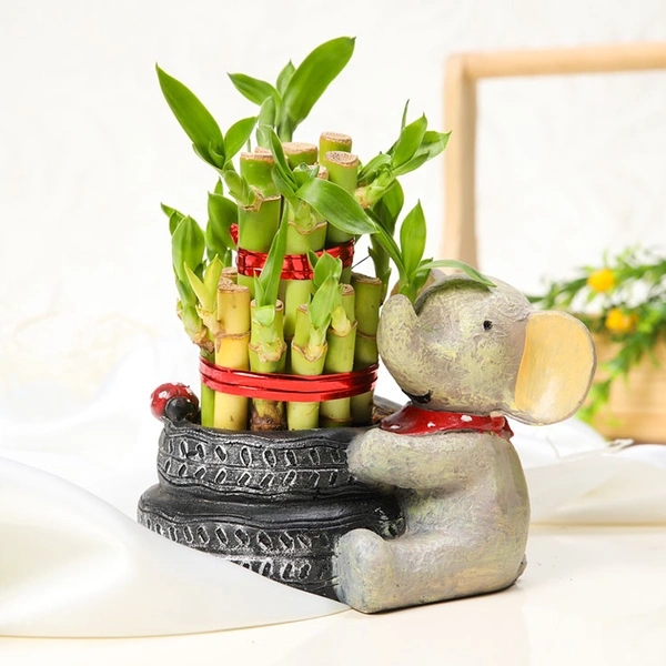 Baby Elephant With Lucky Charm Bamboo