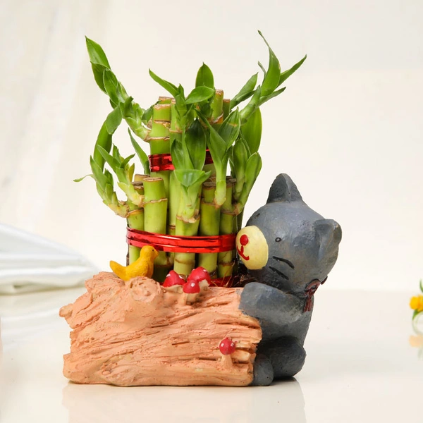 Cute Bear with Lucky Bamboo