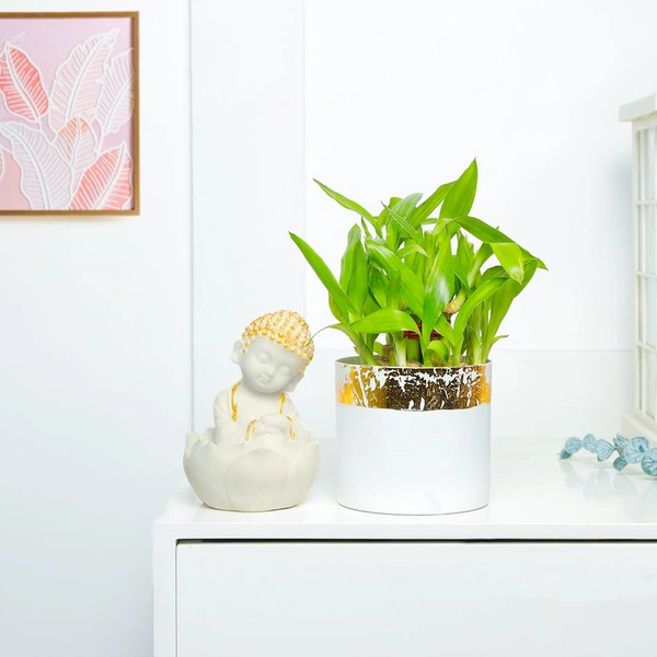 Spiritual Combo of Lucky Bamboo And Monk