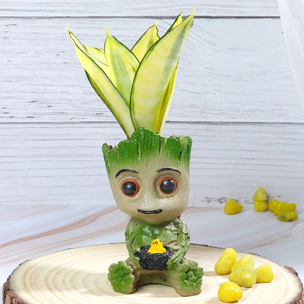 Golden Sanseveria in Happy Groot