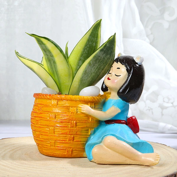 Golden Lotus Sansevieria Plant In Basket Girl