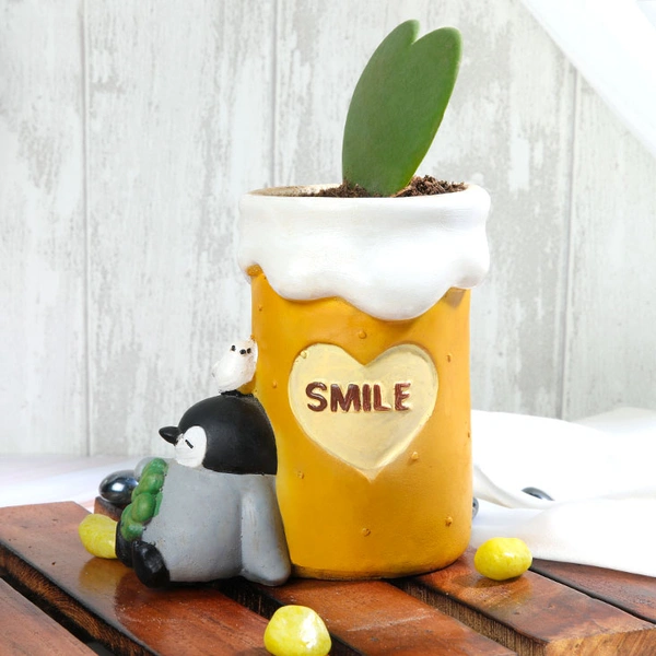 Hoya Heart In Sleeping penguin Pot