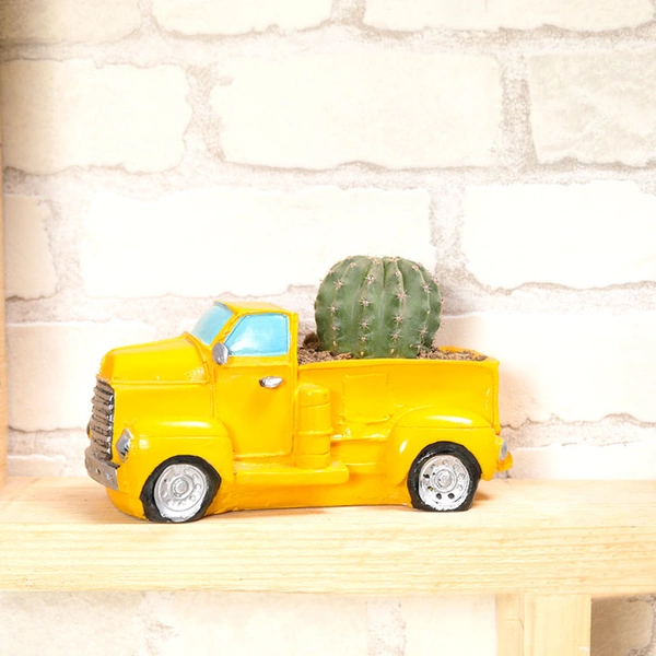 Perfectly Chic Cactus