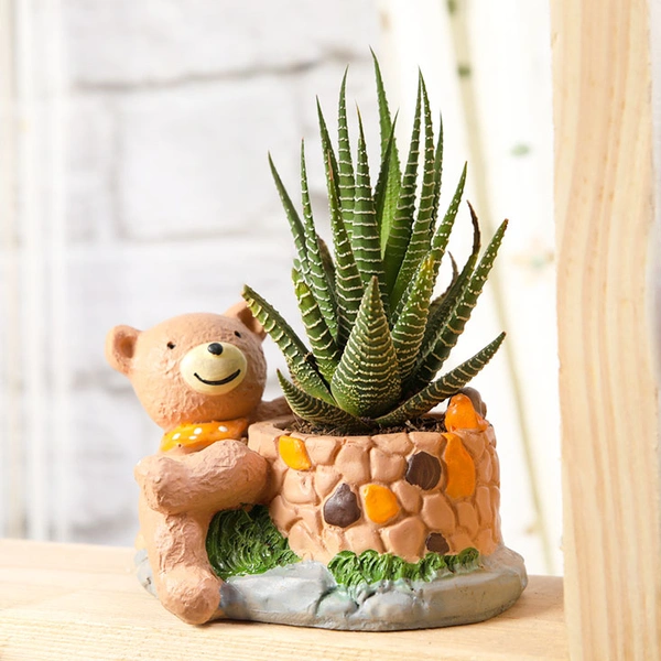 Haworthia In Sitting Bear Pot