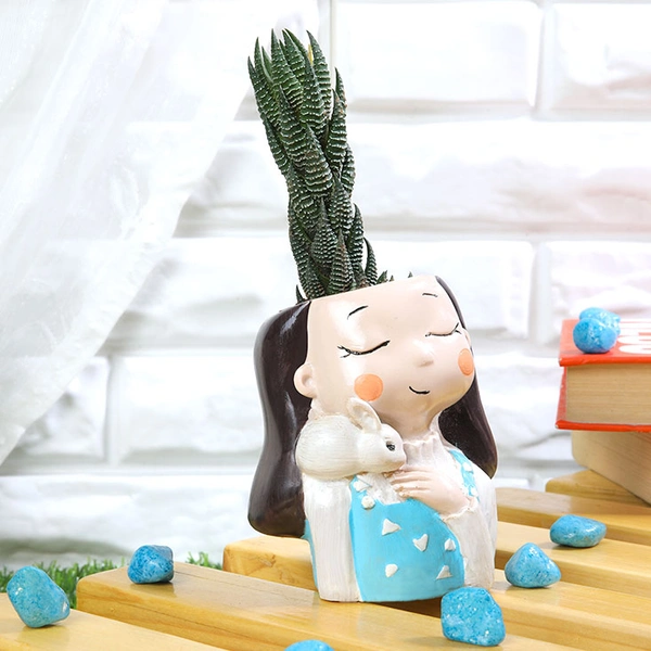 Haworthia Chhutia In Rabbit Holder Girl