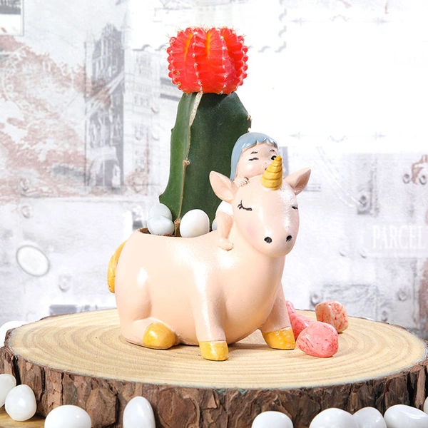 Moon Cactus In Unicorn