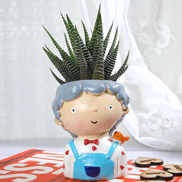 Haworthia plant In Cute Boy