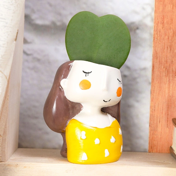 Hoya Heart Attraction