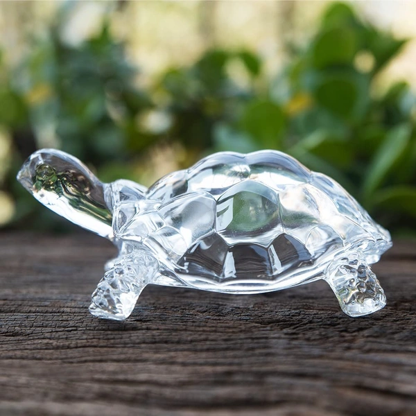 Glass Ka Turtle Kachua