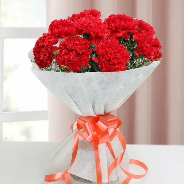 10 Red Carnations Bouquet