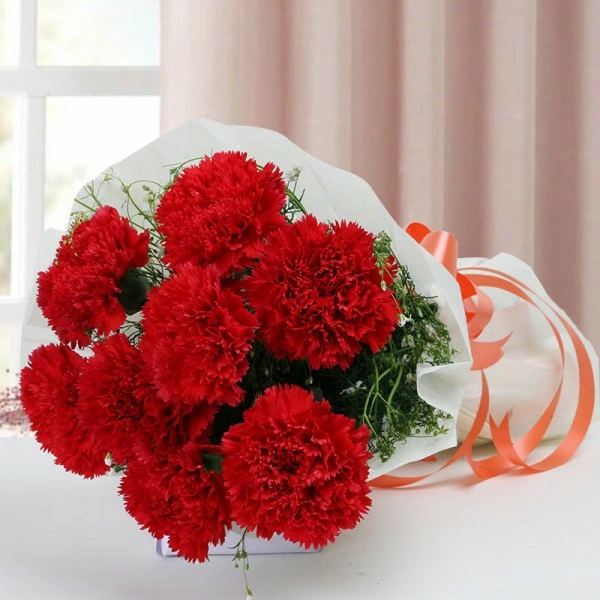 10 Red Carnations Bouquet
