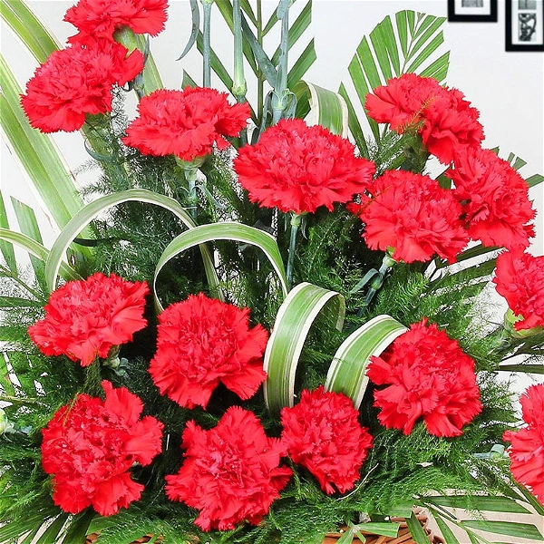 20 Red Carnations Basket