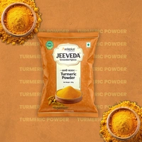 TURMERIC POWDER - 100 GM