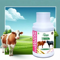 VETDOC CALCIUM SUSPENSION - 5000 ML