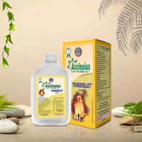 THUNDERBLAST RAS - 500 ML