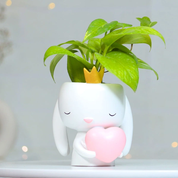 Money Plant in Heart Bunny
