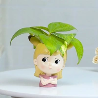 Money Plant For Angry Friend