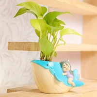 Elegant Golden Money Plant In Whale