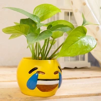 Smiley Money Plant
