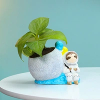 Astronaut Money Plant