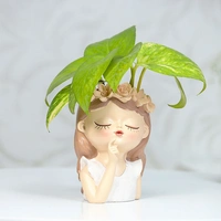 Thinking Fairy Money Plant